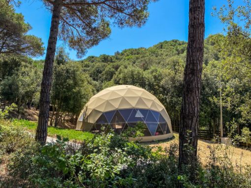 Domo Geodésico Alicante, Domos Geodésicos - Geodesics Domes