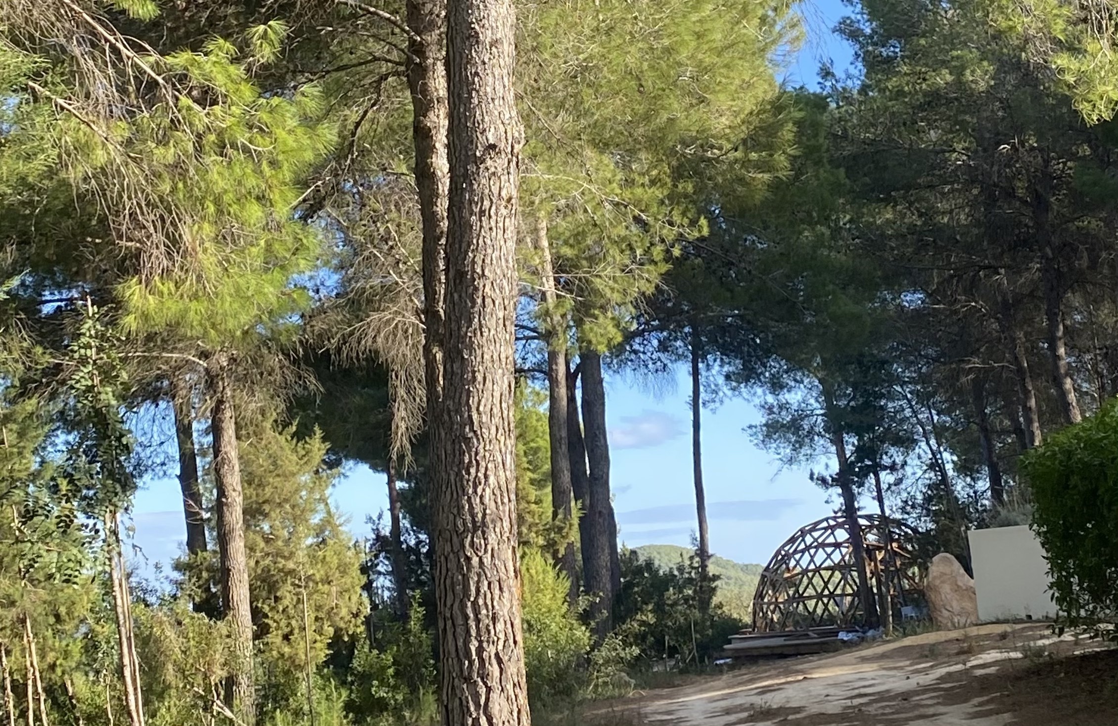 Domo de madera en Ibiza