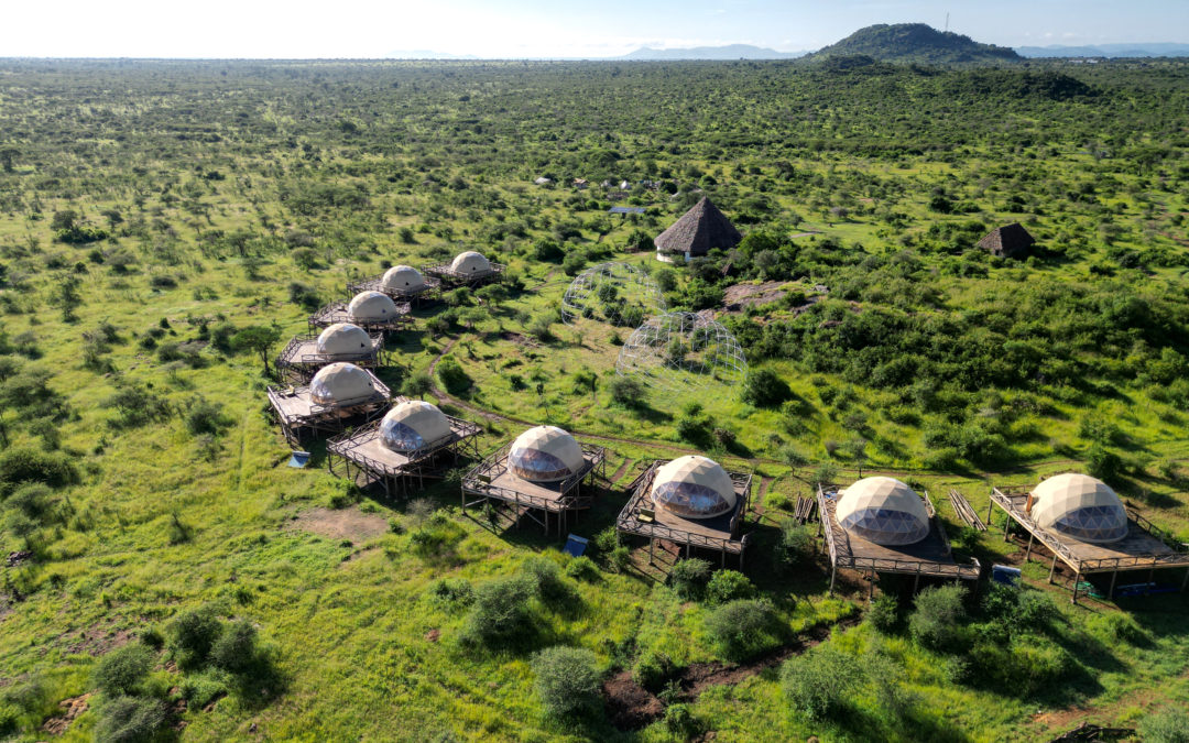 Parque Nacional del Serengueti Tanzania