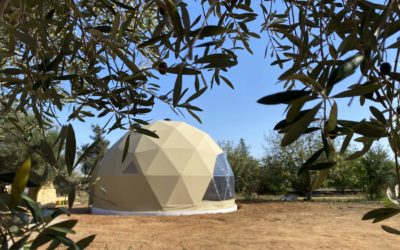 Espacio Versátil para el Bienestar en un Domo